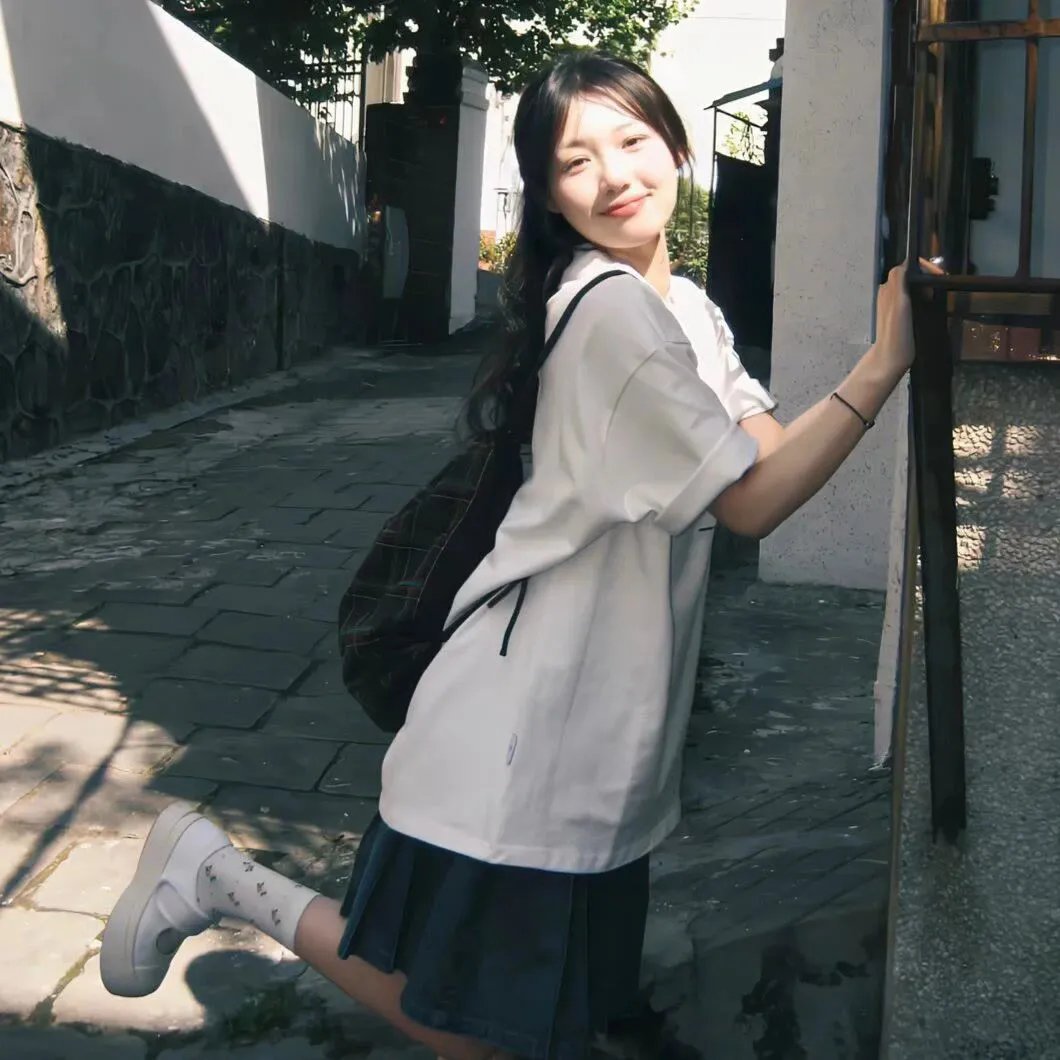 完美的独裁国家